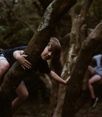 IFS exile parts ifs therapy