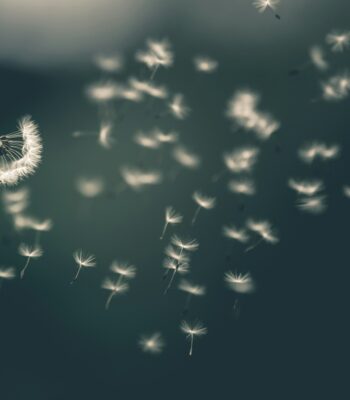 anxious attachment recovery inner child work ifs therapy 1