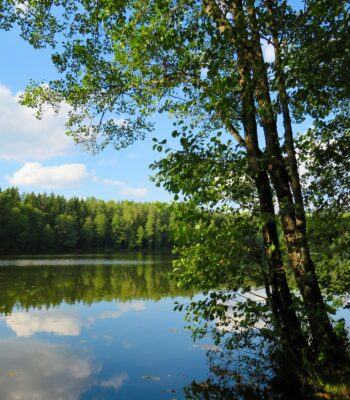 how to be a secure base inner child work