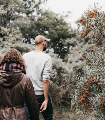 how to heal from narcissistic abuse ifs therapy inner child work