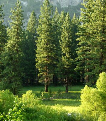 how to talk to parts in ifs therapy ifs therapy uk inner child work