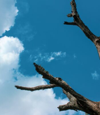 ifs exercises for anxiety inner child work ifs therapy uk