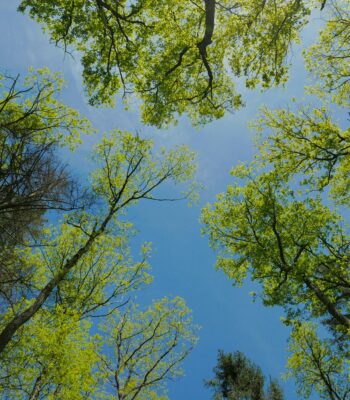 ifs parts examples inner child work