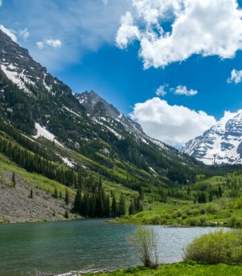 ifs protector parts ifs protector parts ifs therapy