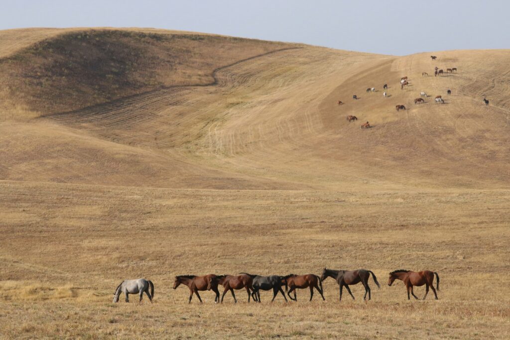 ifs therapy explained inner child work 1