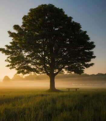 ifs therapy inner child work uk ifs therapy uk