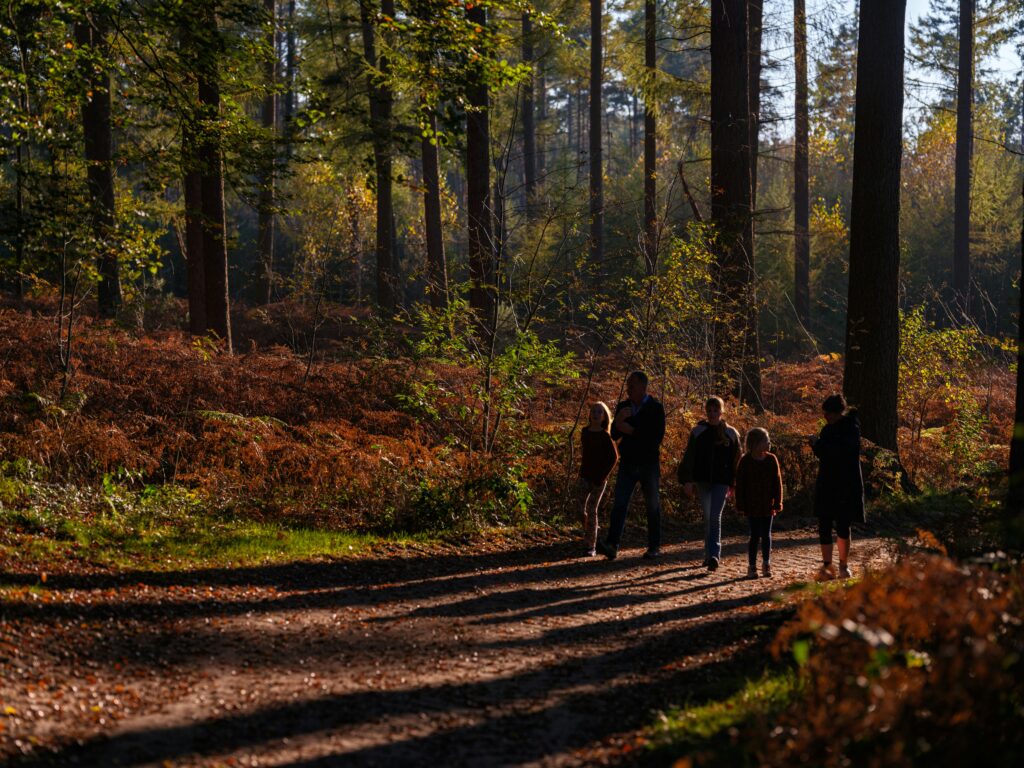 internal family systems therapy