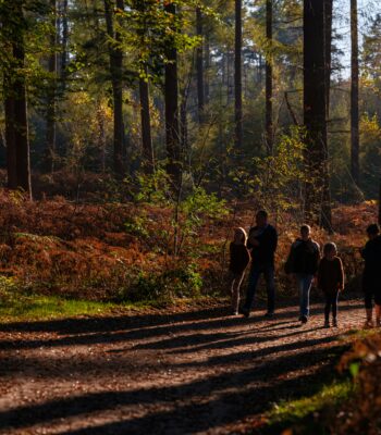 internal family systems therapy