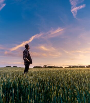 social anxiety disorder treatment ifs therapy uk 1