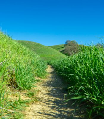 therapy for narcissistic abuse inner child work ifs therapy uk