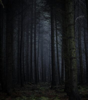 traits of a narcissist