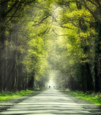 unblending from parts ifs inner child work ifs therapy 1