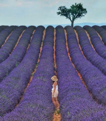 How to get out of survival mode with IFS therapy v1