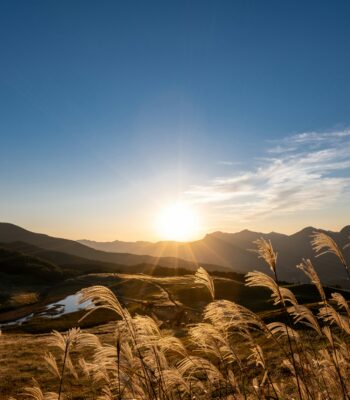 IFS therapy depression inner child work uk v1.jpg