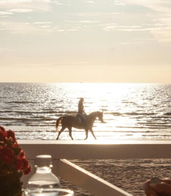 internal family systems spain ifs therapy spain inner child work