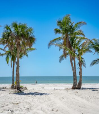 is IFS therapy effective for ptsd ifs and ptsd ifs therapy for ptsd inner child therapist inner child therapy ifs therapy ifs therapy 3