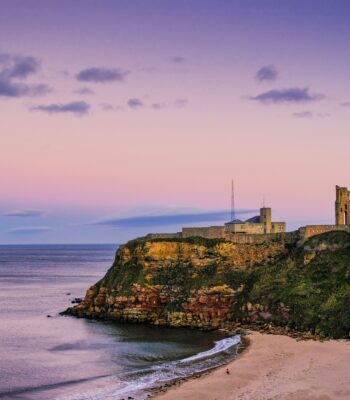 trauma therapy online trauma therapist online therapy newcastle