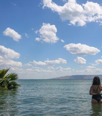 holistic healing for anxiety hha icw therapy for anxiety anxiety counselling