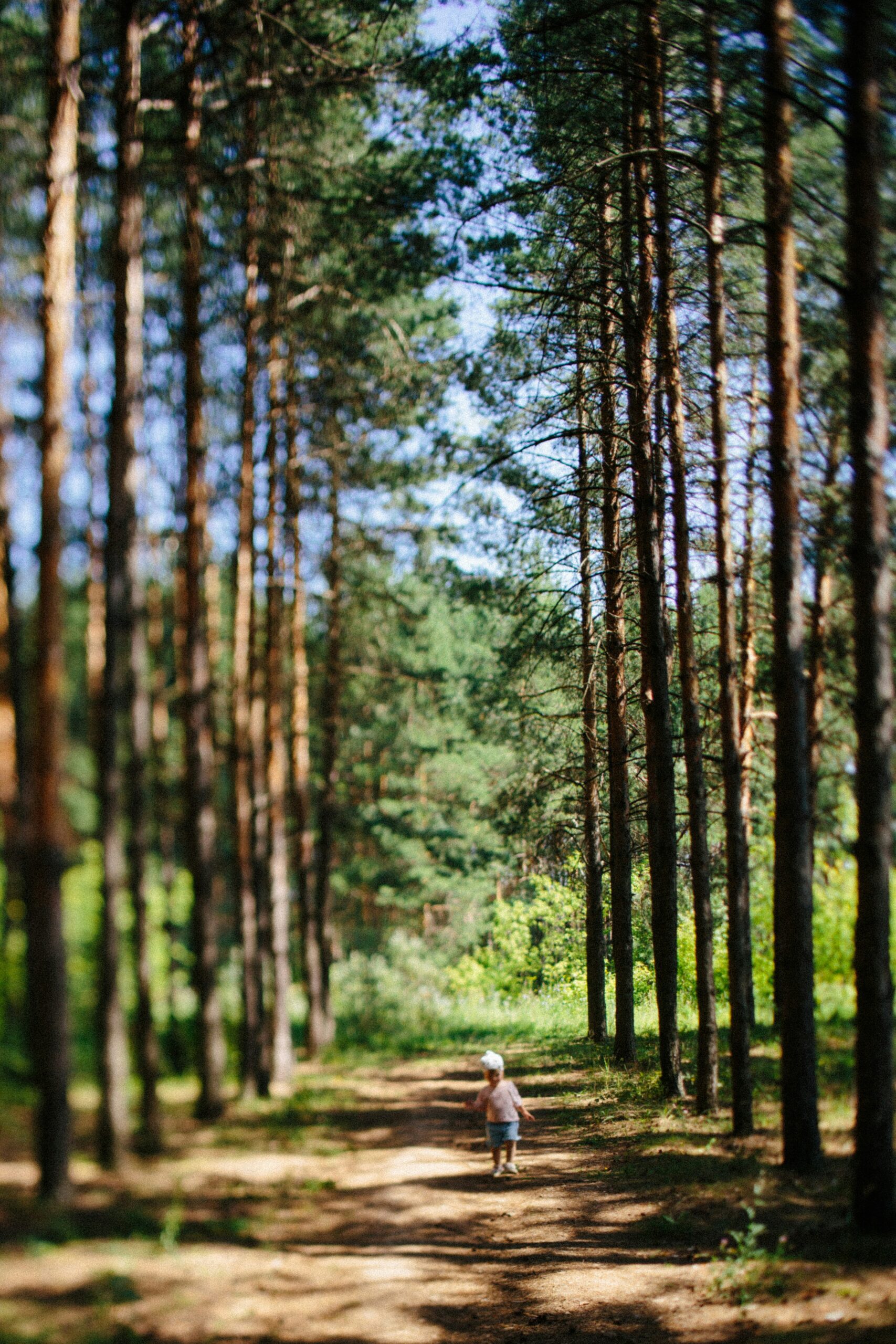 ifs therapy newcastle internal family systems newcastle